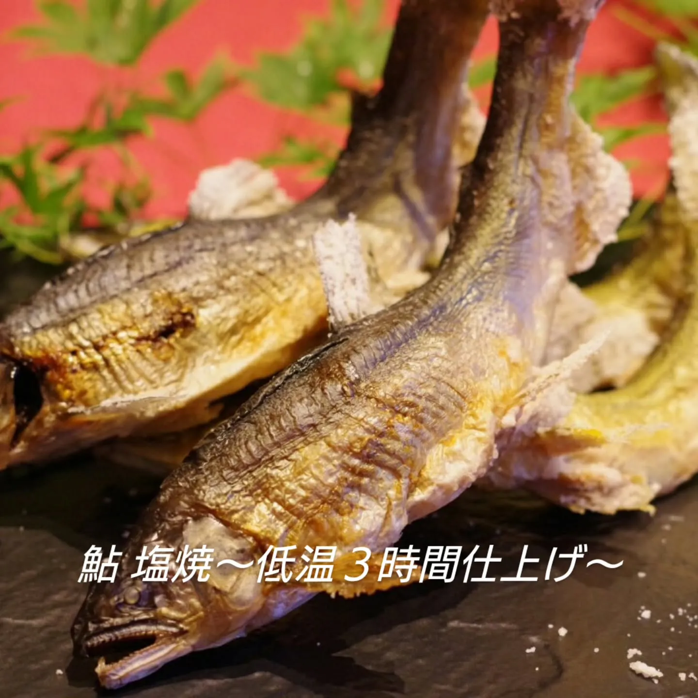 季節の絶品料理 鮎(アユ)塩焼!